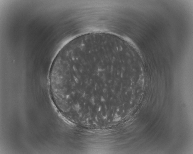 X0000066501287200604141713
