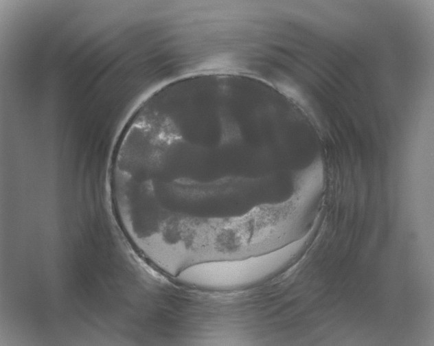 X0000066501288200604141713