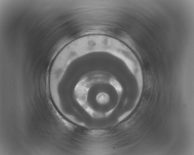X0000066501290200604141713