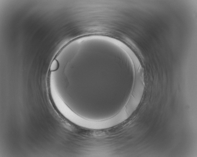 X0000066501291200604141713
