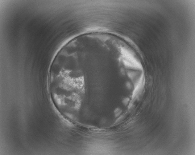 X0000066501295200604141713