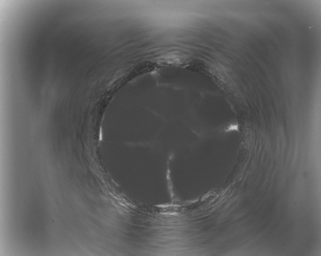 X0000066501297200604141712