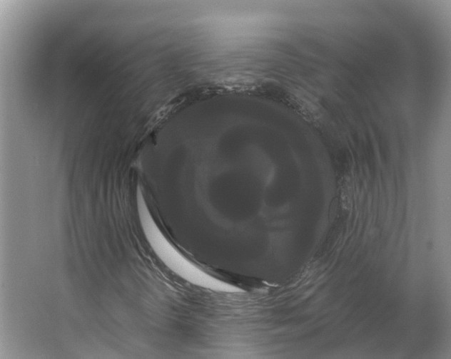 X0000066501298200604141712