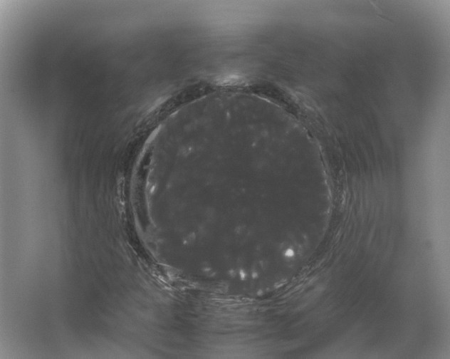 X0000066501301200604141712