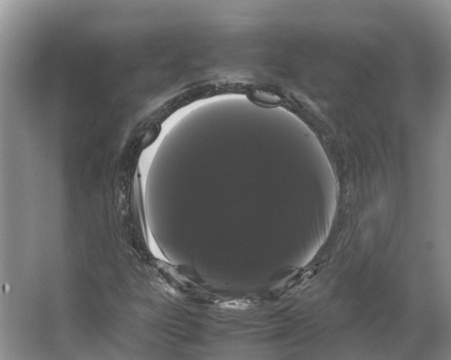 X0000066501303200604141712