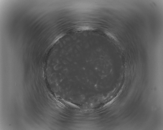 X0000066501305200604141712