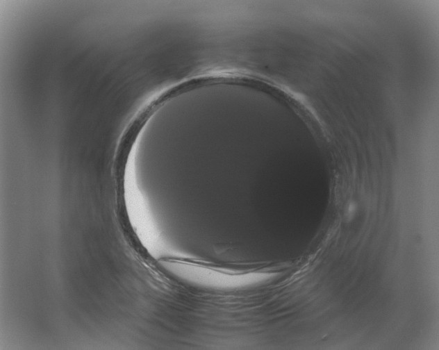 X0000066501319200604141712