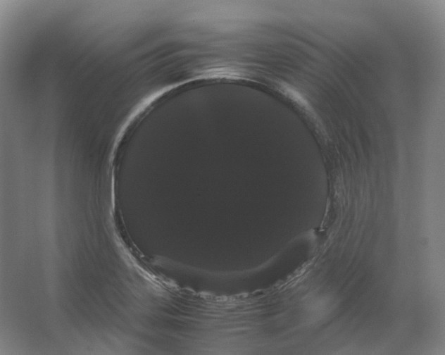 X0000066501323200604141712
