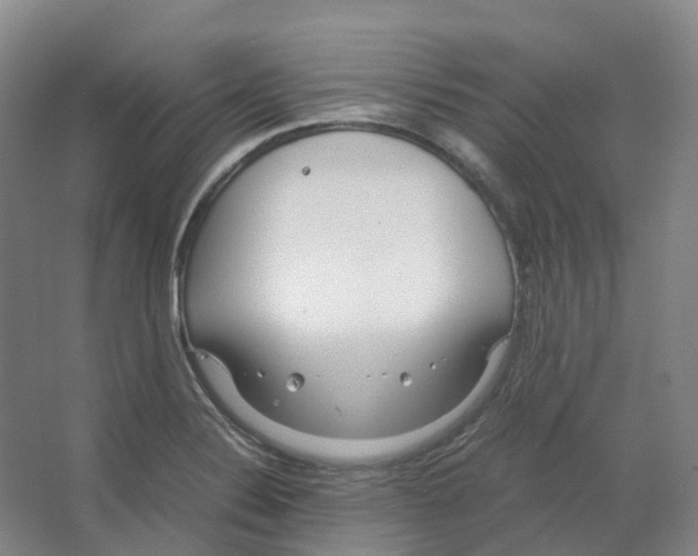 X0000066501324200604141712