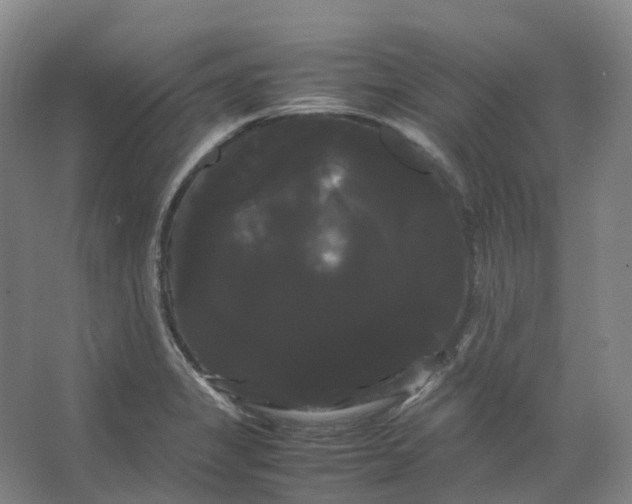 X0000066501325200604141712