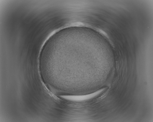 X0000066501326200604141712