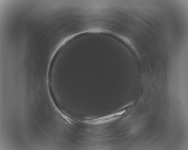X0000066501327200604141712