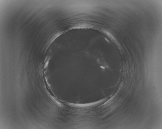 X0000066501329200604141712