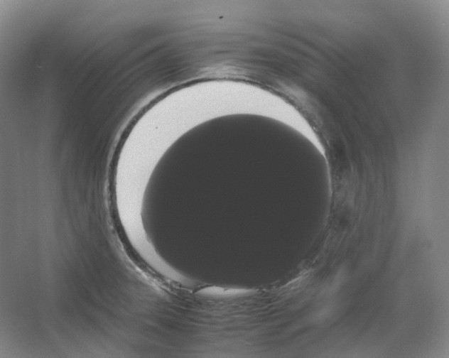 X0000066501331200604141712
