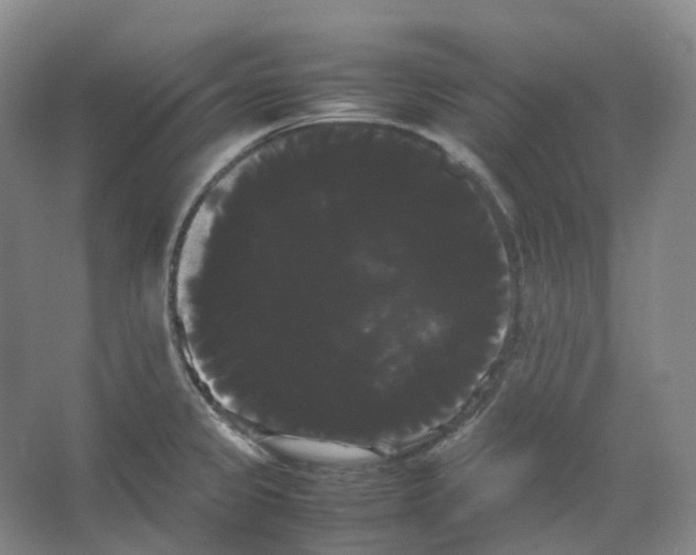 X0000066501333200604141712