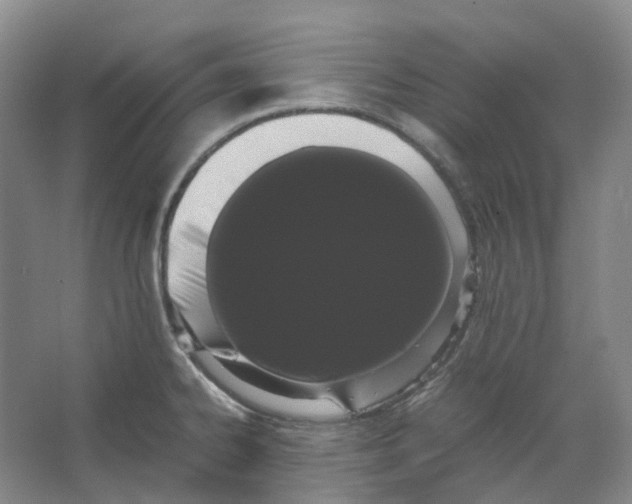 X0000066501334200604141712
