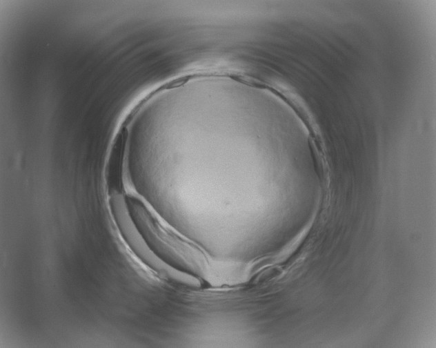 X0000066501344200604141712