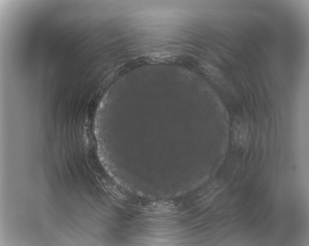 X0000066501346200604141712