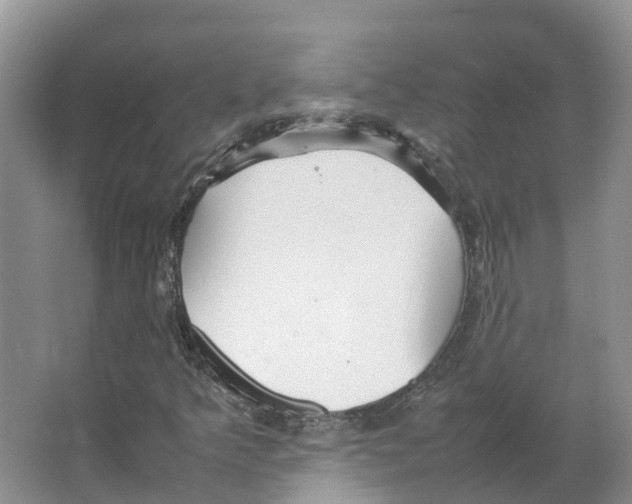X0000066501349200604141712