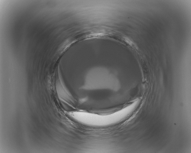 X0000066501353200604141712