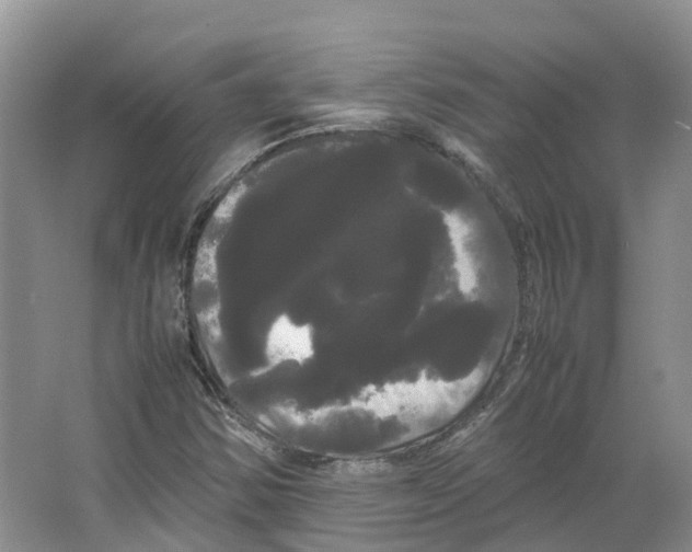 X0000066501354200604141712