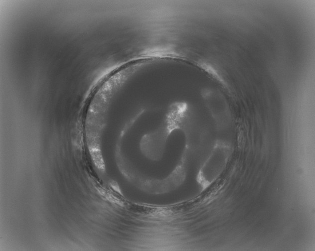 X0000066501358200604141711