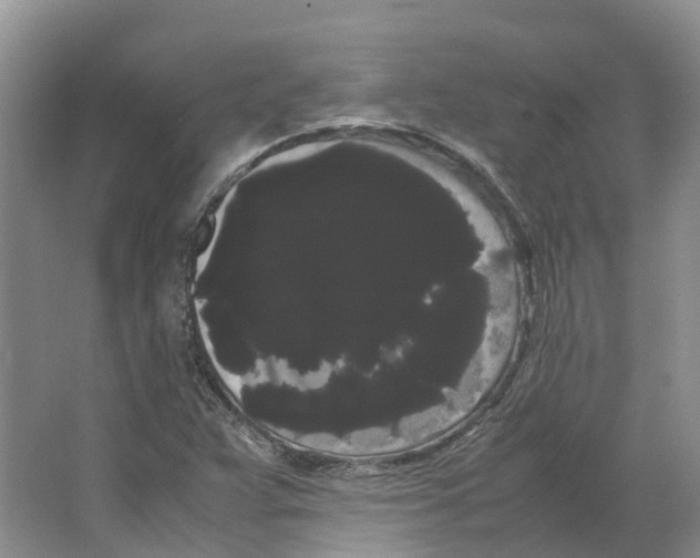 X0000066501359200604141711