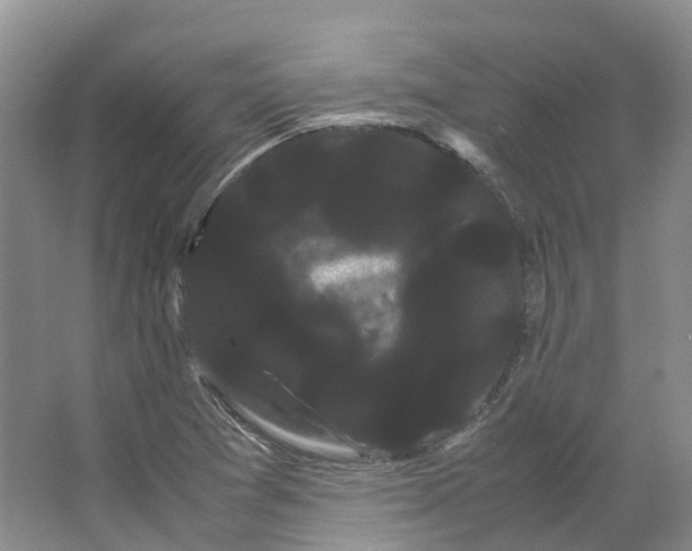 X0000066501361200604141711