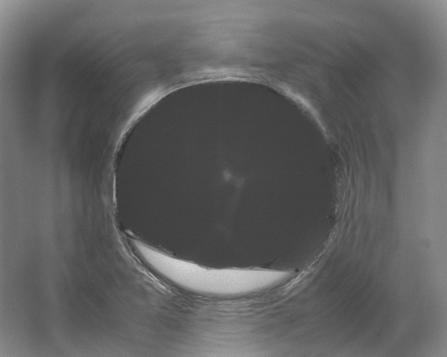 X0000066501365200604141711