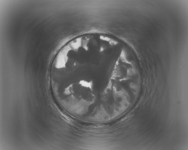 X0000066501367200604141711