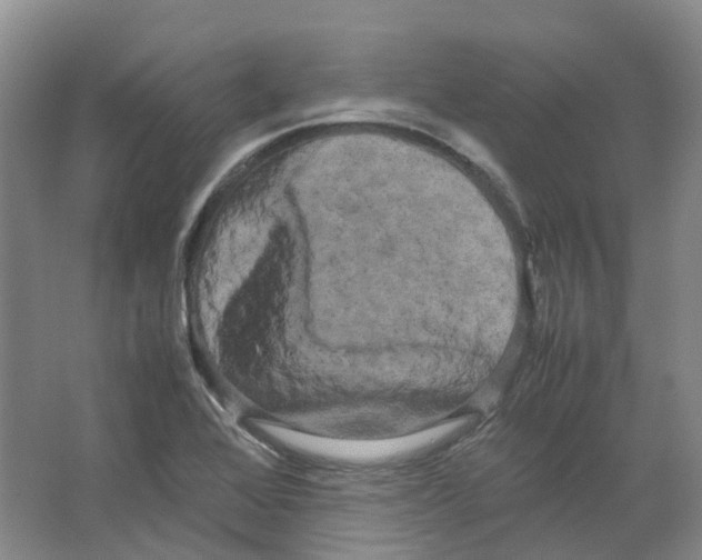 X0000066501368200604141711