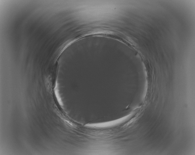 X0000066501369200604141711