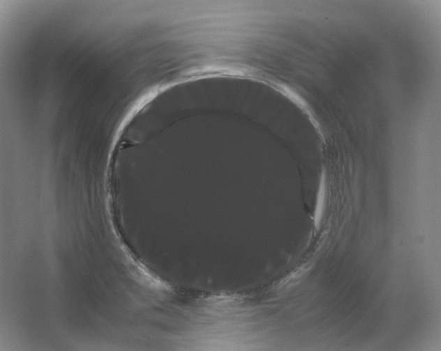 X0000066501373200604141711
