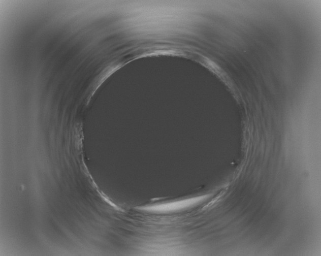 X0000066501377200604141711