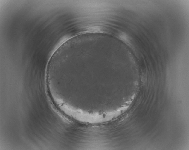 X0000066501378200604141711
