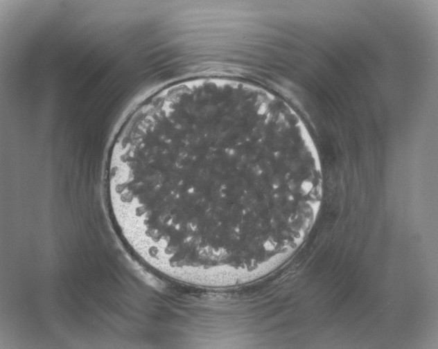 X0000066501379200604141711