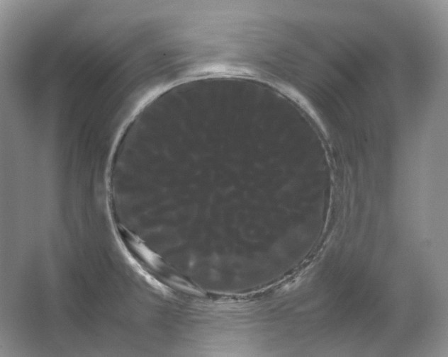X0000066501381200604141711
