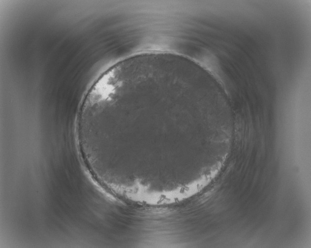 X0000066501382200604141711