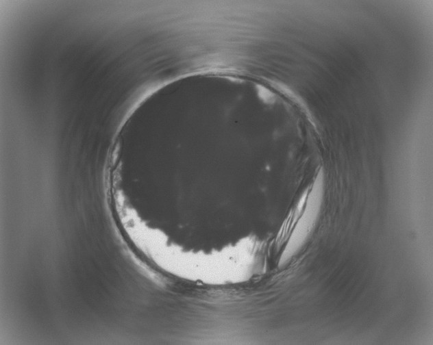 X0000066501383200604141711