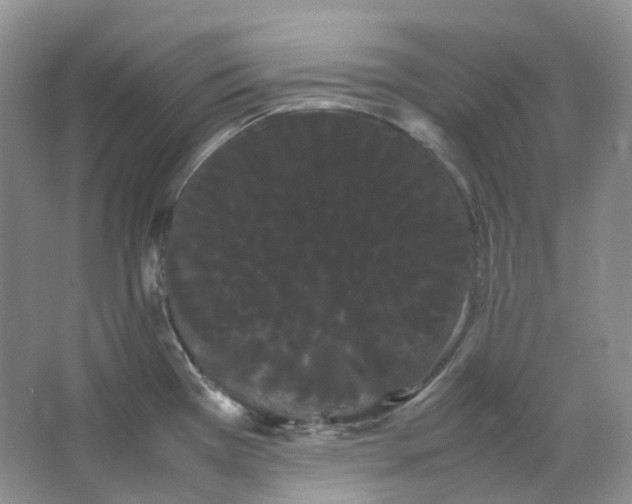 X0000066501385200604141711