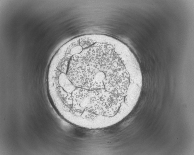 X0000066501387200604141711