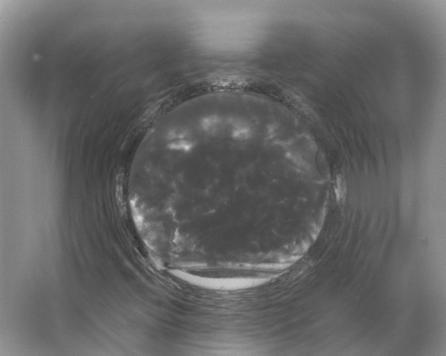 X0000066501396200604141710