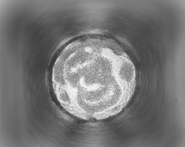 X0000066501404200604141710