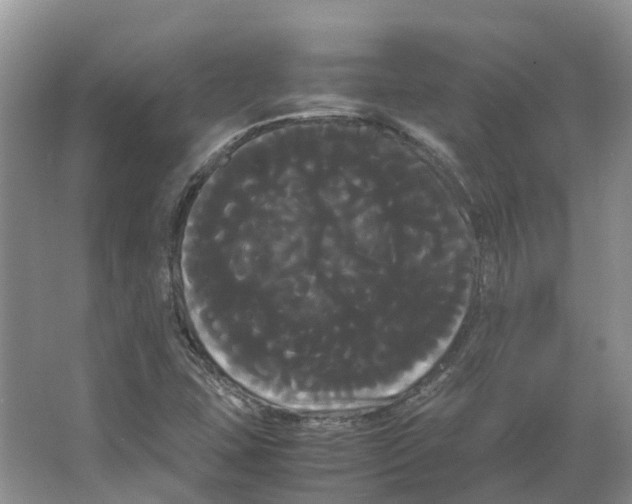 X0000066501407200604141710