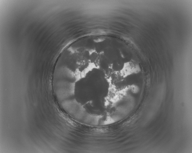 X0000066501409200604141710