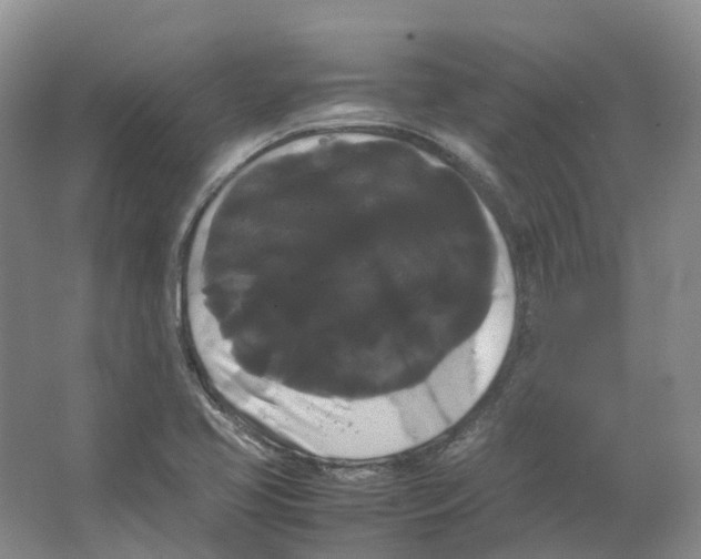 X0000066501413200604141710