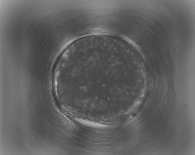 X0000066501415200604141710