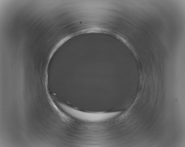X0000066501418200604141710