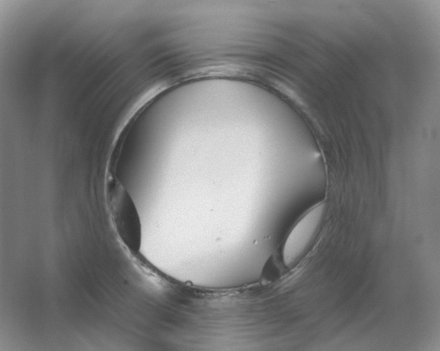 X0000066501426200604141711