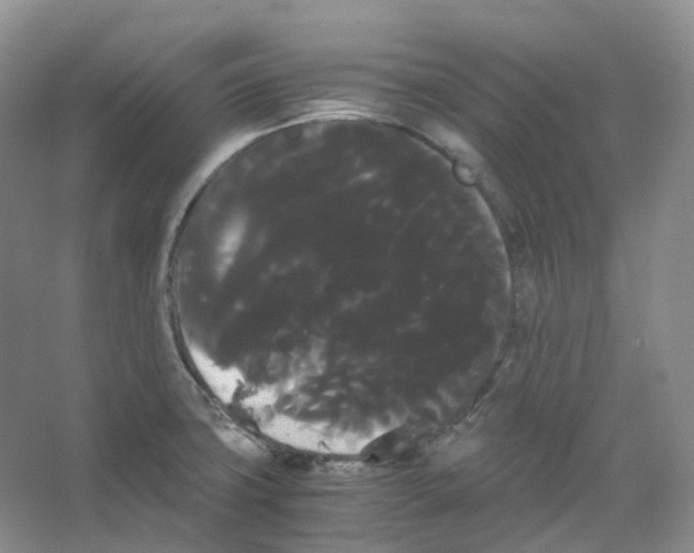 X0000066501427200604141711